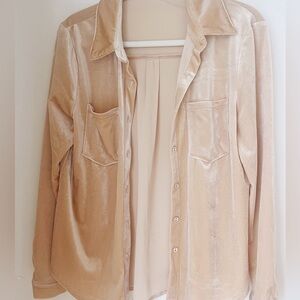 12th Tribe | Nude Velvet Button Up Top | S 🍄‍🟫